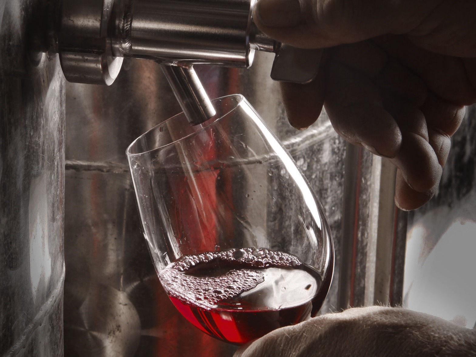 Weingut Bischoff - Edelstahltank